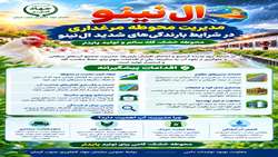 هشدارهای فنی و اقدامات پیشگیرانه در مواجهه با پدیده اقلیمی ال‌نینو در مرغداری ها